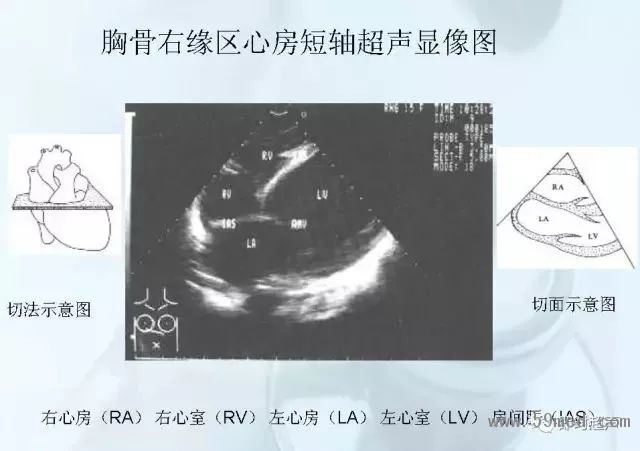 微信圖片_20190221113844